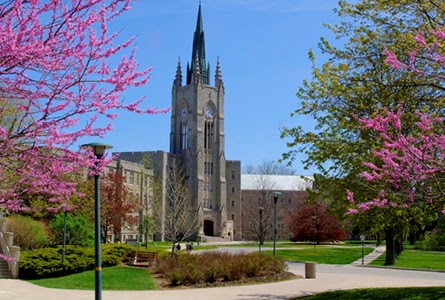 Middlesex College